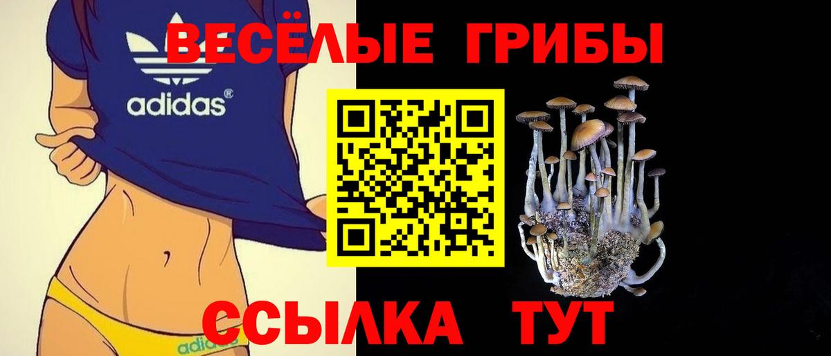 Псилоцибиновые грибы мицелий  Вход с VPN  Камышлов 